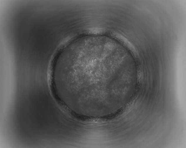 X0000101700736200807311431