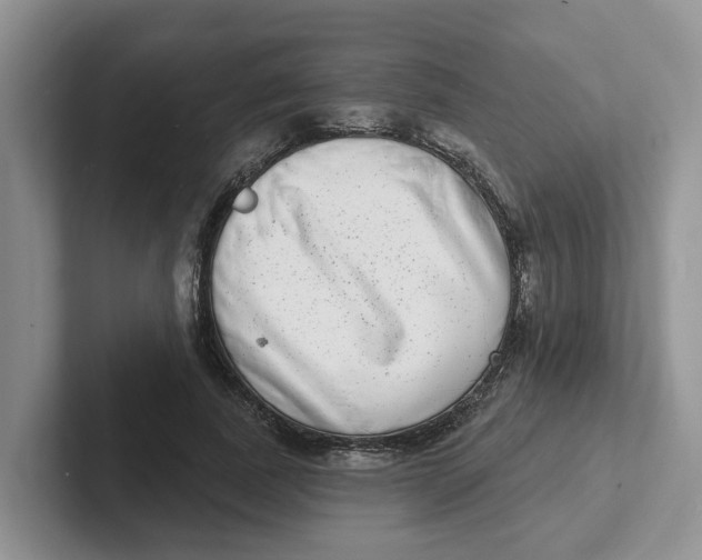 X0000101700739200807311431