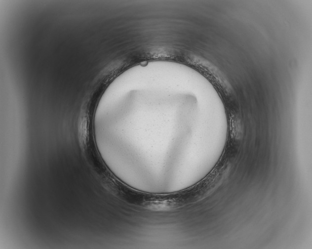 X0000101700740200807311431