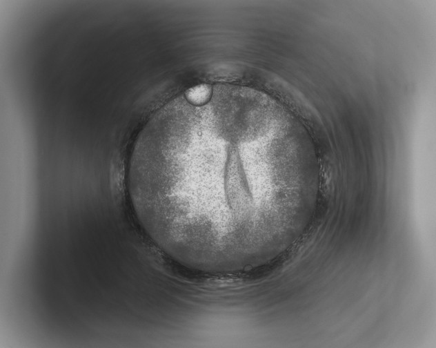 X0000101700745200807311431