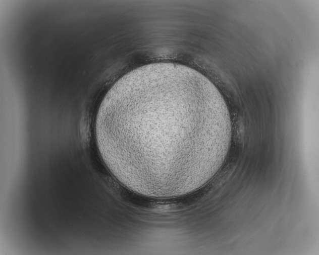 X0000101700746200807311431