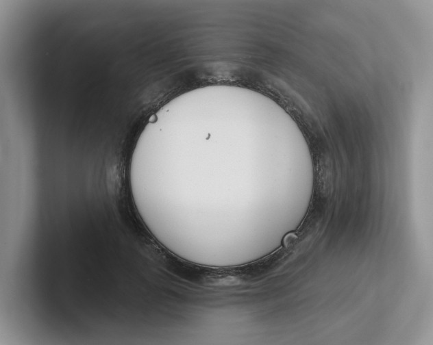 X0000101700747200807311431