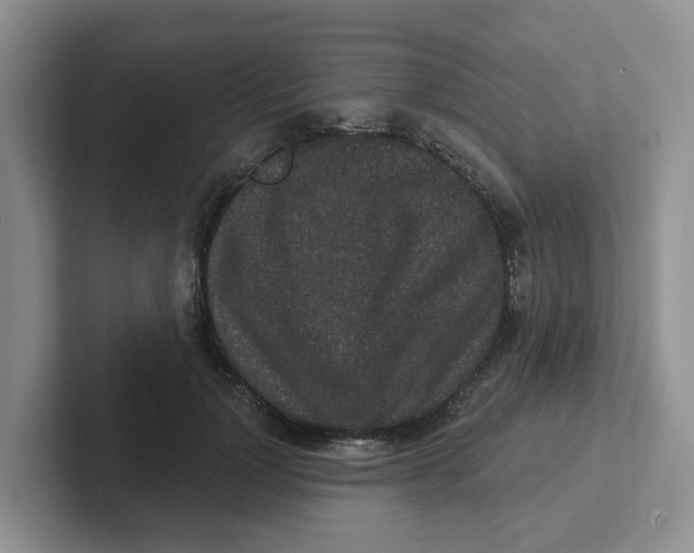 X0000101700748200807311431