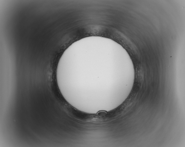 X0000101700750200807311431