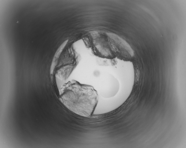 X0000101700753200807311431