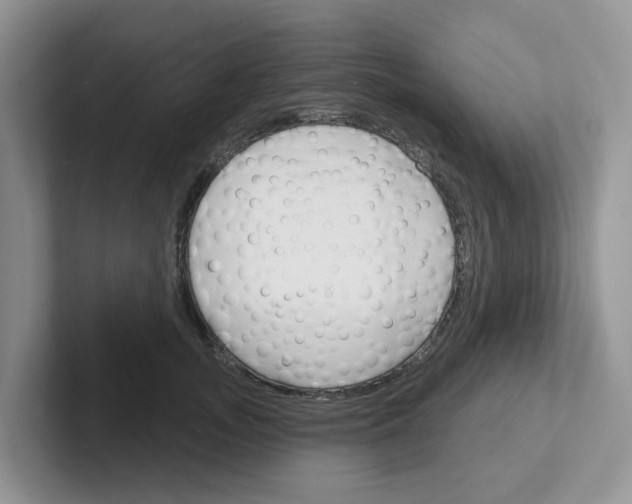 X0000101700755200807311431