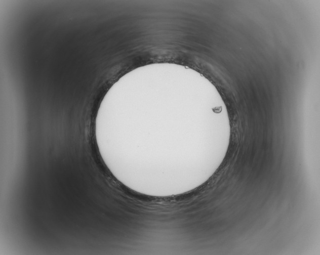 X0000101700756200807311431