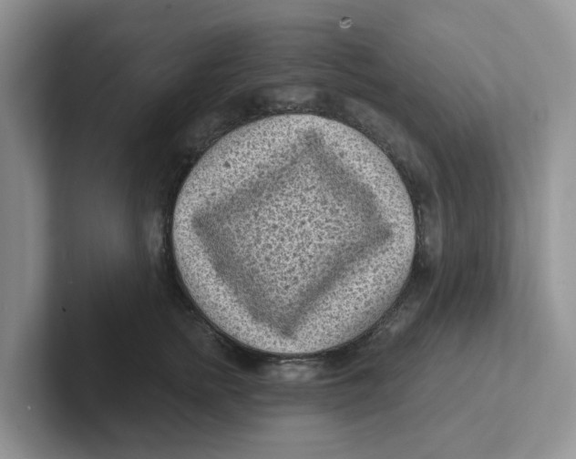 X0000101700758200807311432