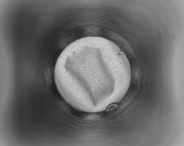 X0000101700759200807311432