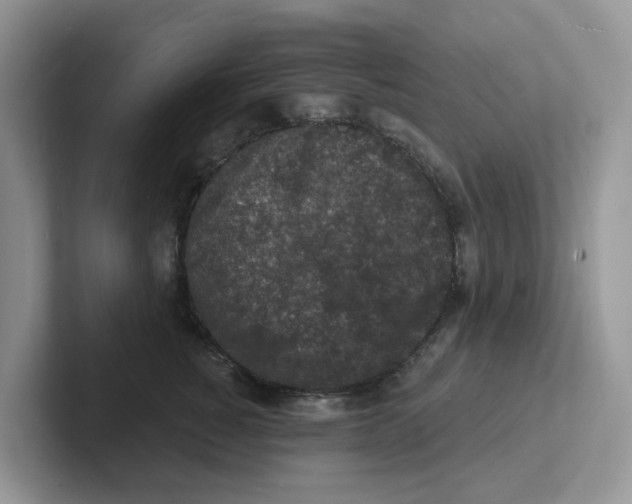 X0000101700760200807311432