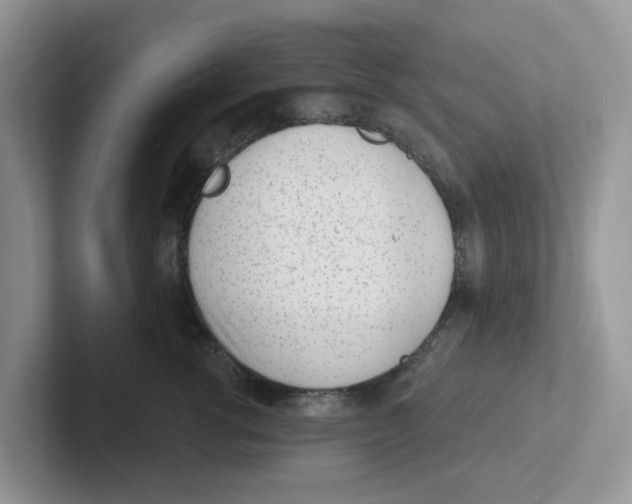 X0000101700762200807311432