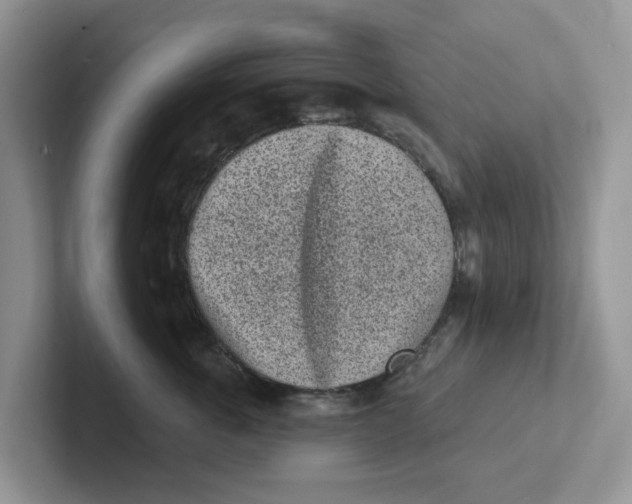 X0000101700763200807311432