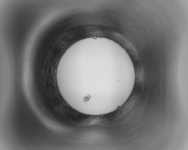 X0000101700764200807311432