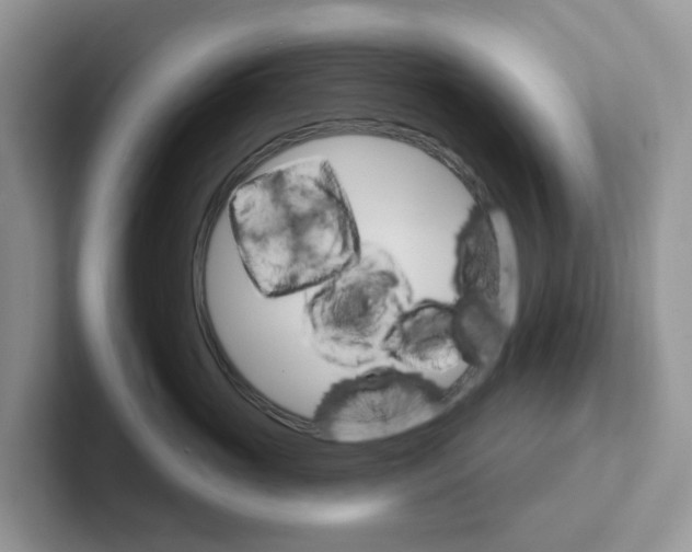 X0000101700765200807311432