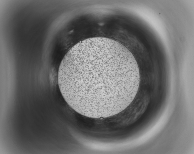 X0000101700766200807311432