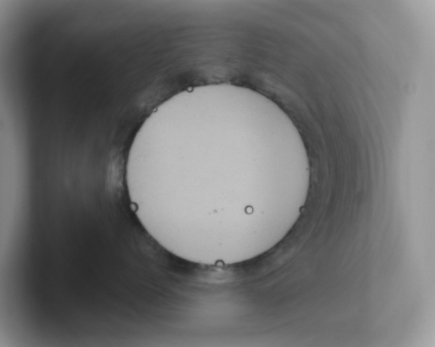 X0000101700768200807311432