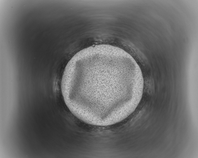 X0000101700770200807311431