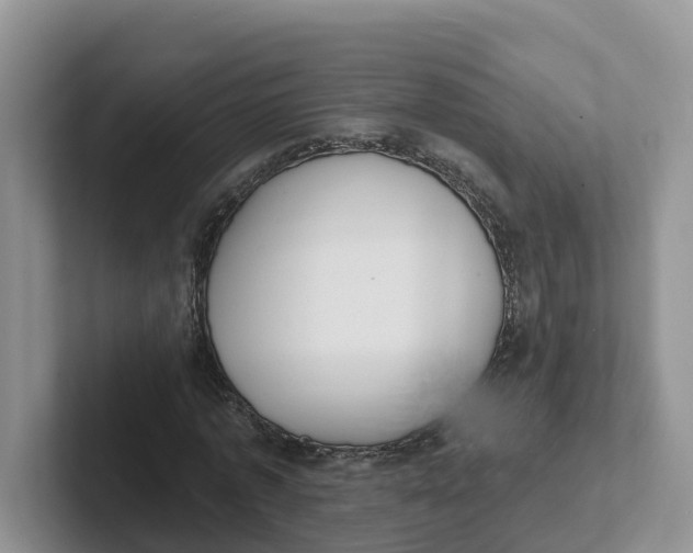 X0000101700773200807311431