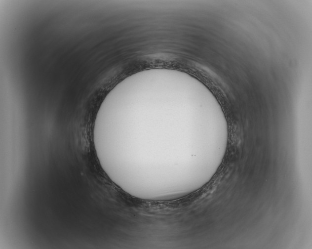 X0000101700774200807311431