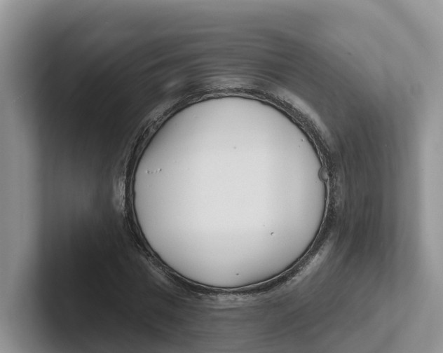 X0000101700777200807311431