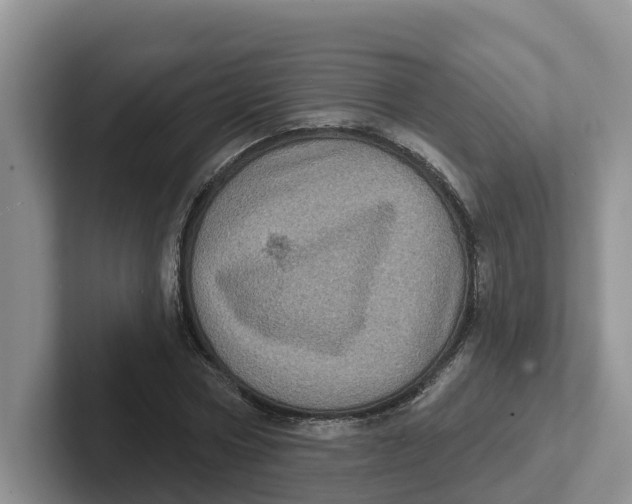 X0000101700778200807311431