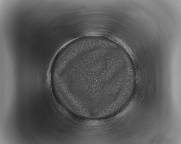 X0000101700779200807311431