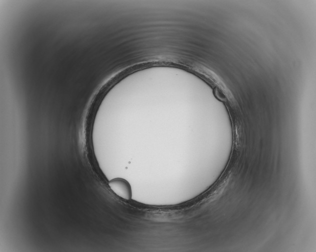 X0000101700780200807311431