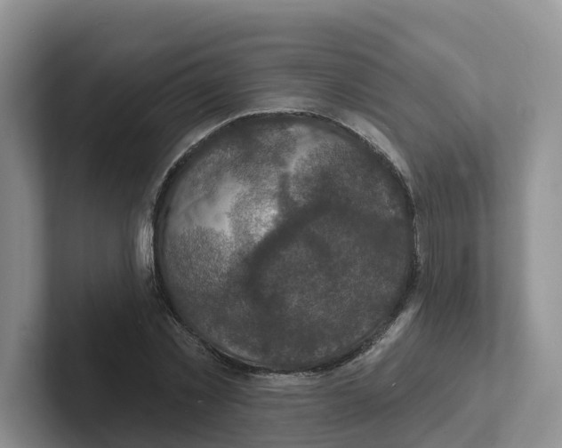 X0000101700781200807311431