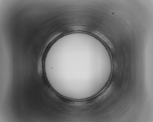 X0000101700782200807311431