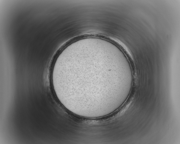 X0000101700783200807311431