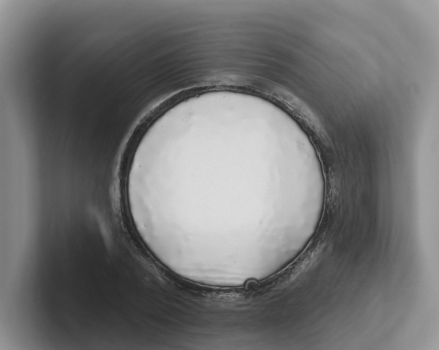 X0000101700784200807311431