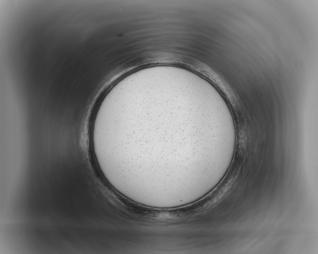 X0000101700787200807311431