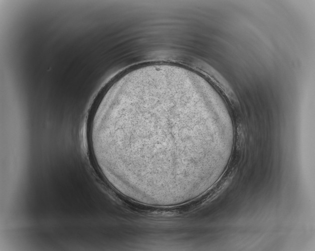 X0000101700788200807311431