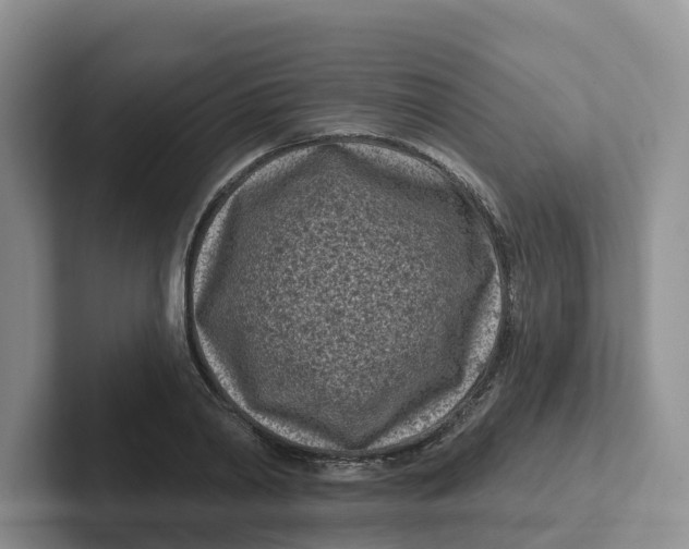 X0000101700790200807311431