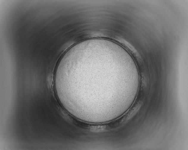 X0000101700793200807311431