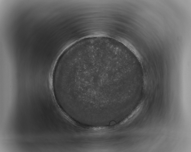 X0000101700797200807311431