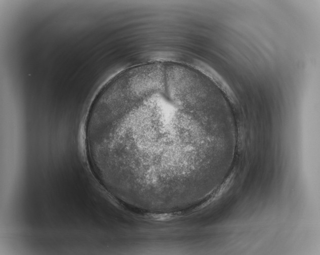 X0000101700798200807311431