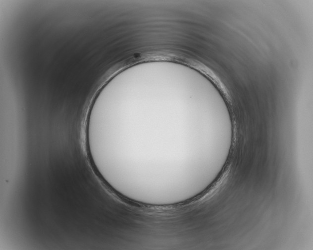 X0000101700802200807311431
