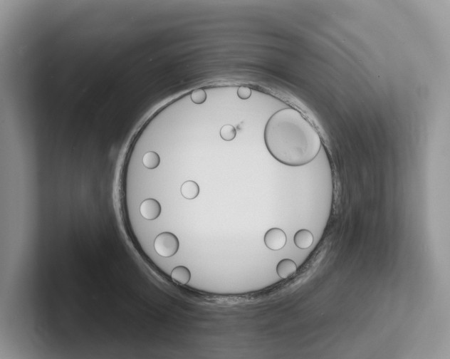 X0000101700803200807311431