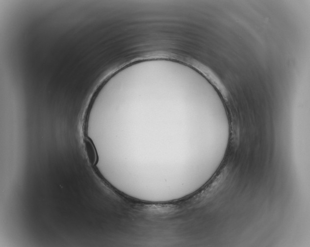 X0000101700805200807311431