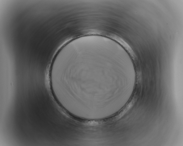 X0000101700806200807311431