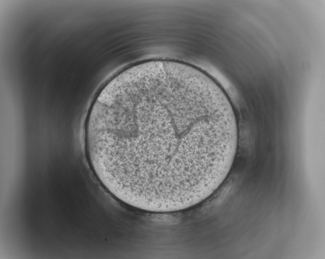 X0000101700807200807311431