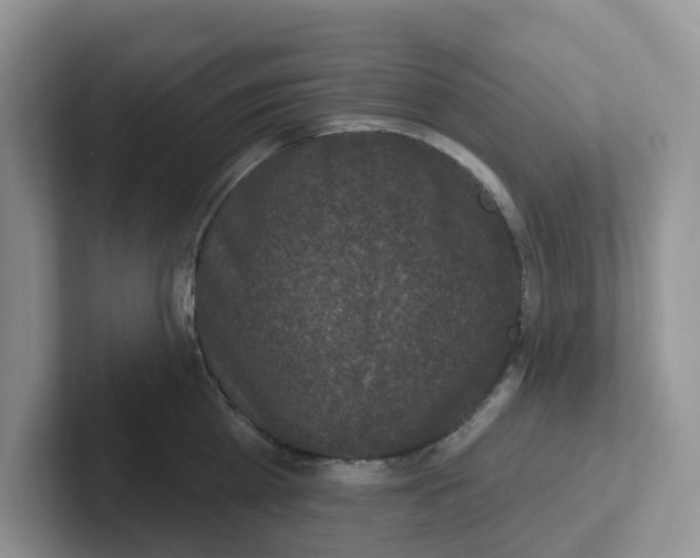 X0000101700809200807311430