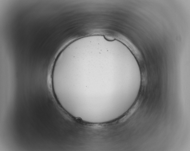 X0000101700814200807311430