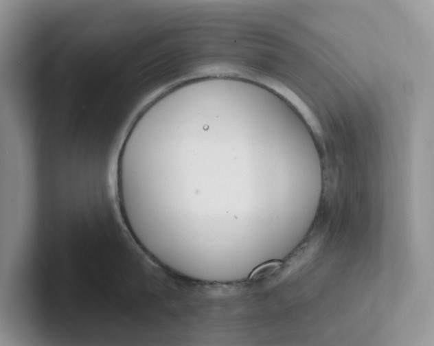 X0000101700815200807311430