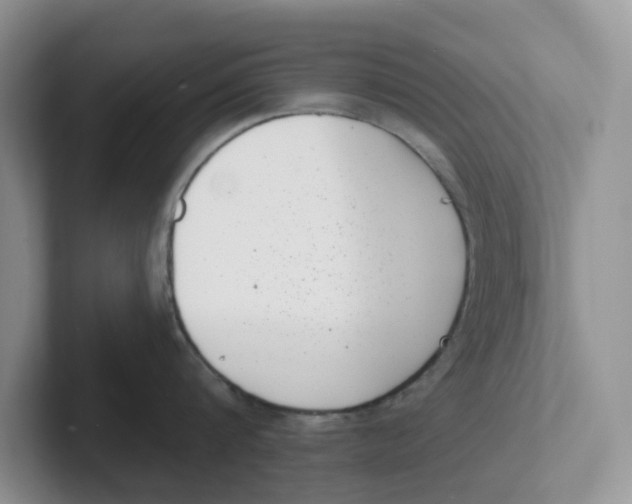 X0000101700816200807311430