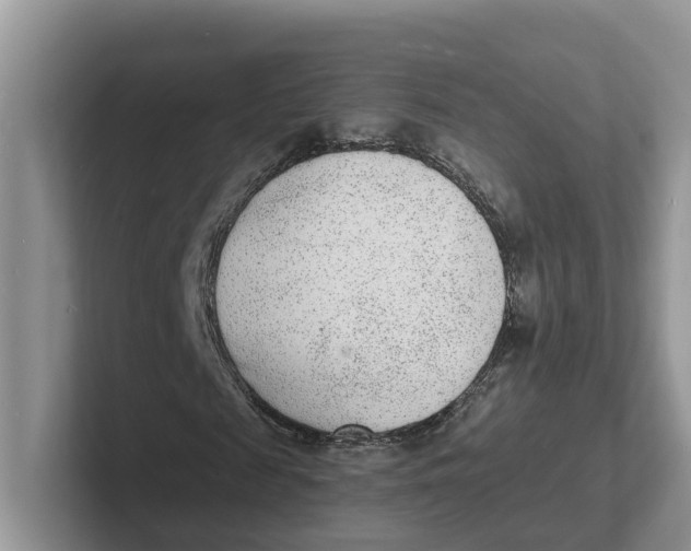 X0000101700817200807311430