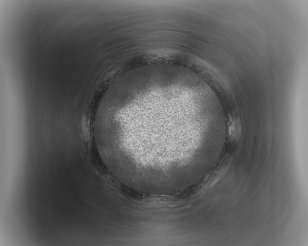 X0000101700819200807311430