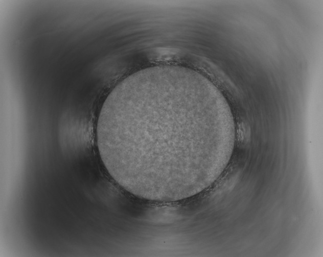 X0000101700820200807311430