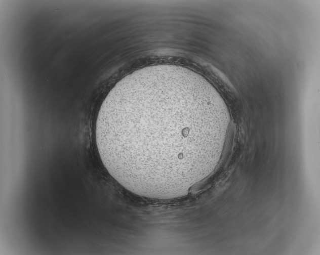 X0000101700821200807311430